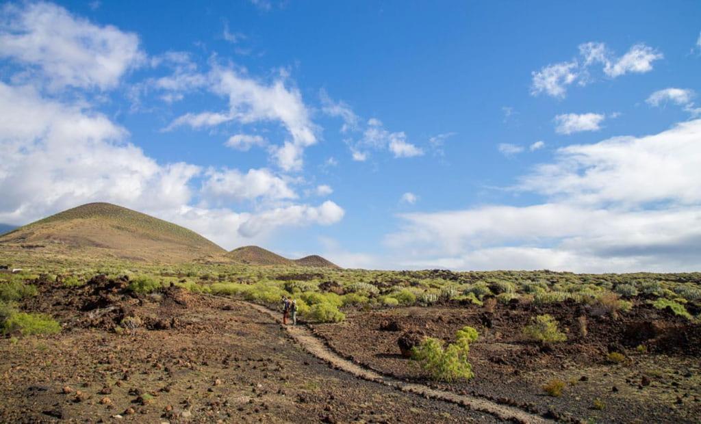 Las Palmeras Puertito de Guimar Bagian luar foto